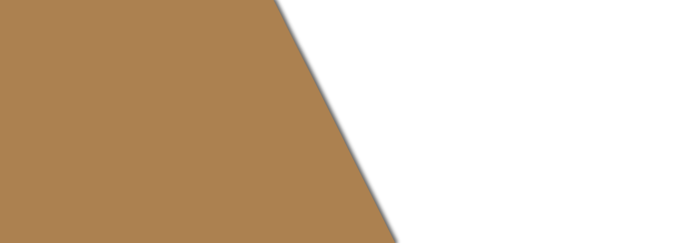 Furniture Repair